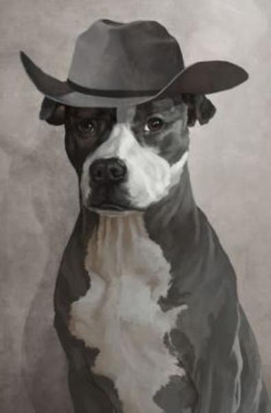 Cowboy Dog