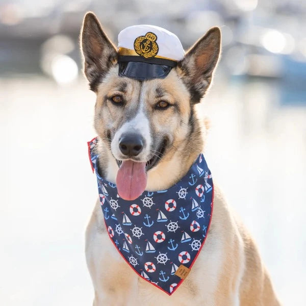 Nautical Dog Bandana