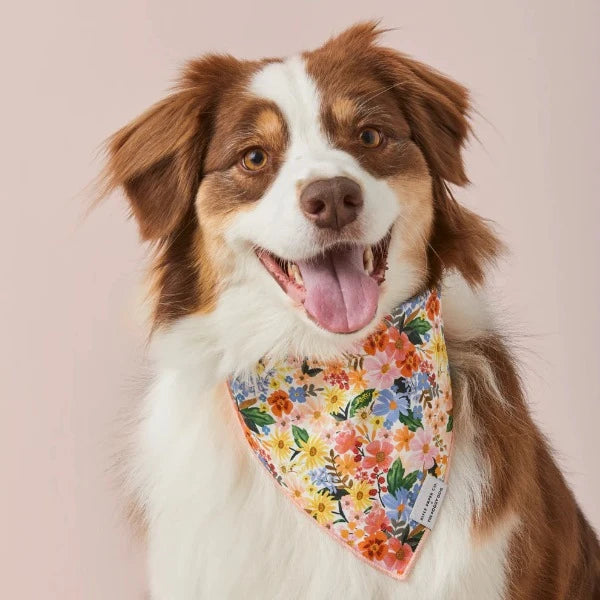 Floral Dog Bandana