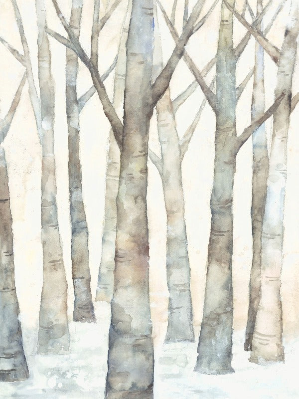 Winter Birch