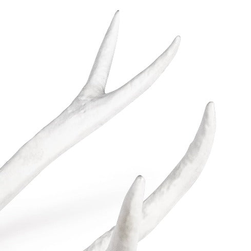 Antler Sculptures